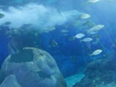 -多彩贵州城极地海洋世界