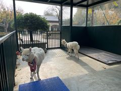 -青岛鑫江温德姆酒店