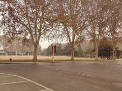 -河南省黄河迎宾馆