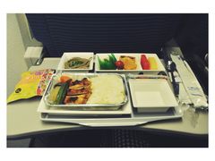 -全日本空输株式会社(上海办事处)
