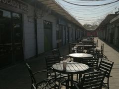 -油梨树AVOCADO TREE(顺义新国展店)
