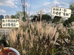 -世纪公园-世纪春沁园