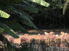 -南昌动物园