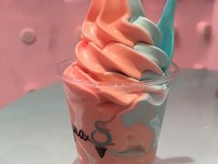 -Dooley's Premium Ice Cream