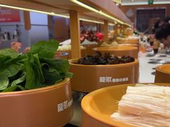 -龍歌自助小火锅(市南金茂湾店)