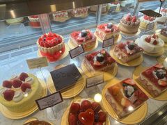 -乐天免税店(明洞店)