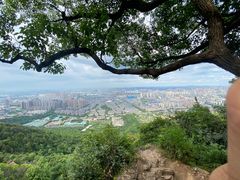-惠山国家森林公园