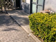 -秀沿路地铁站停车场