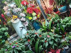 -溪岸路花鸟市场