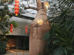 -北京植物园-展览温室
