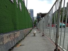 -江燕路万科里