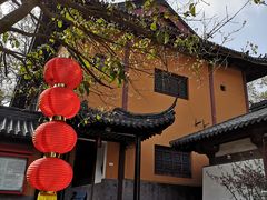 -灵谷景区