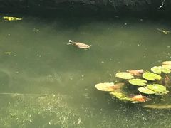 -上海植物园-4号门售票处