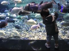 -成都浩海立方海洋公园