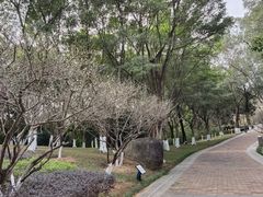-玉树公园
