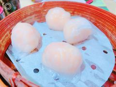 -添好运点心专门店(北角店)