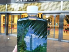 带瓶101好水回家-台北101