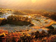 -九龙江国家森林公园