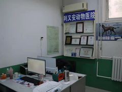 -利又安动物医院··老年病·猫科犬科·中兽医