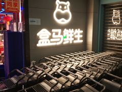 -盒马鲜生(大行宫店)
