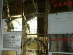 -亚龙湾国际玫瑰谷