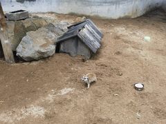 -竹泉村旅游度假区