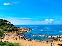 -广东惠东海龟国家级自然保护区