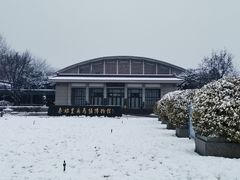 -秦始皇帝陵博物院(兵马俑)