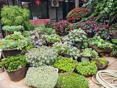 -山菌美食苑(振兴路店)