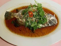 -桃源春晓中餐厅 TaoYuan Restaurant