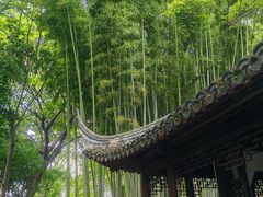 -秋霞圃
