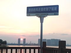 -瑶湖郊野森林公园