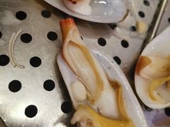 贵妃蚌-锅上蒸·特色蒸汽海鲜(龙洞店)