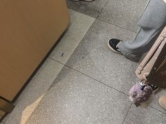 -海底捞火锅(吾悦广场店)