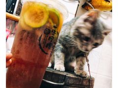 -一些柠檬一些茶(西村店)