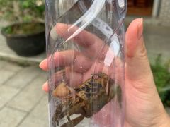 -黄埔古港