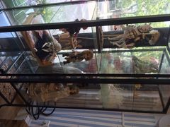iFood甜嫩嫩-iFood甜嫩嫩(江东北路店)