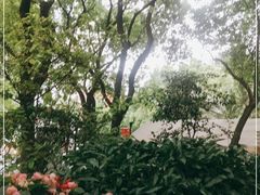-复旦大学附属华山医院(总院)
