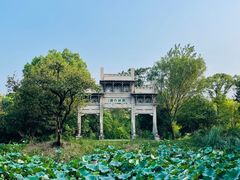 -西溪国家湿地公园