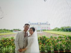 -百万葵园