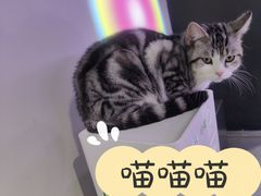 -极木²邸 人与宠物·互动社区