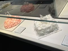 -BLACKSWAN黑天鹅(环球店)