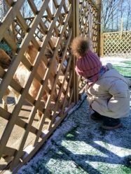 -萌宠亲子动物乐园(槐房万达店)