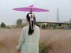 -王借岗森林公园