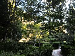 -北京协和医院(东单院区)