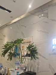 -罗亚帝造型·烫发染发