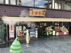 -京都宇治花屋敷浮舟园
