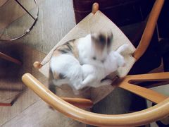 -黑胶星球(华发中城商都店)
