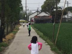 -青浦采草莓天天草莓园