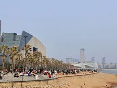 -金沙湖公园